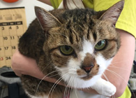 �������l�R�����ɂ��Ή�